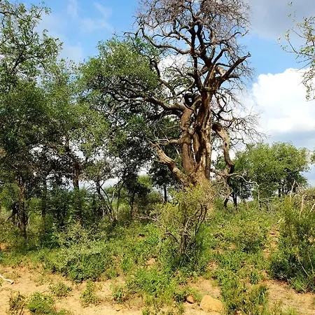 636 Itaga Safari Lodge, Mabalingwe Nature Reserve Mabula Game Reserve Exterior photo