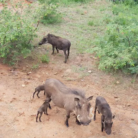 636 Itaga Safari Lodge, Mabalingwe Nature Reserve Mabula Game Reserve Exterior photo