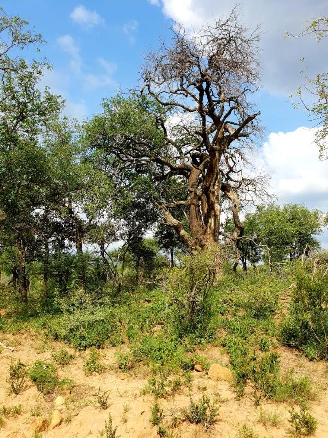 636 Itaga Safari Lodge, Mabalingwe Nature Reserve Apartment *