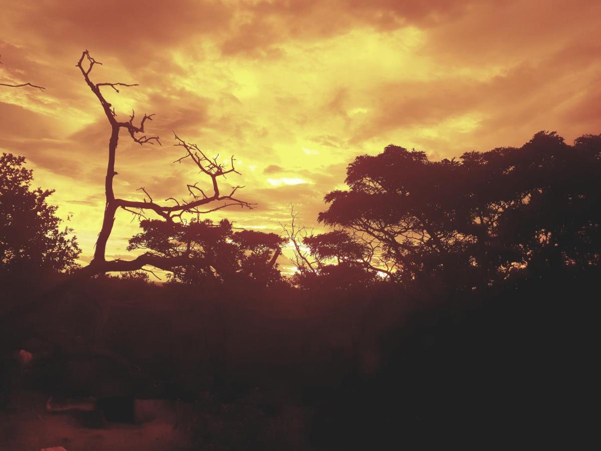636 Itaga Safari Lodge, Mabalingwe Nature Reserve Mabula Game Reserve