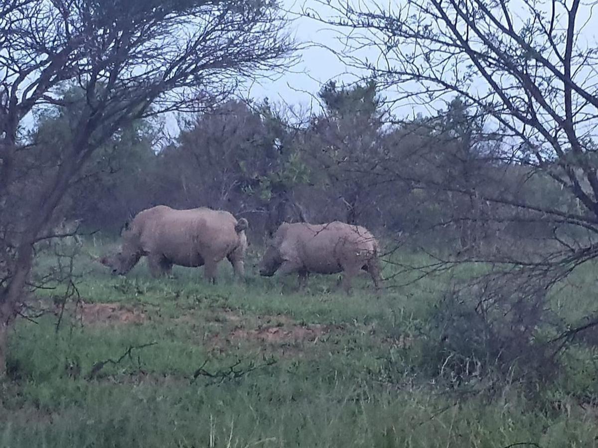 636 Itaga Safari Lodge, Mabalingwe Nature Reserve