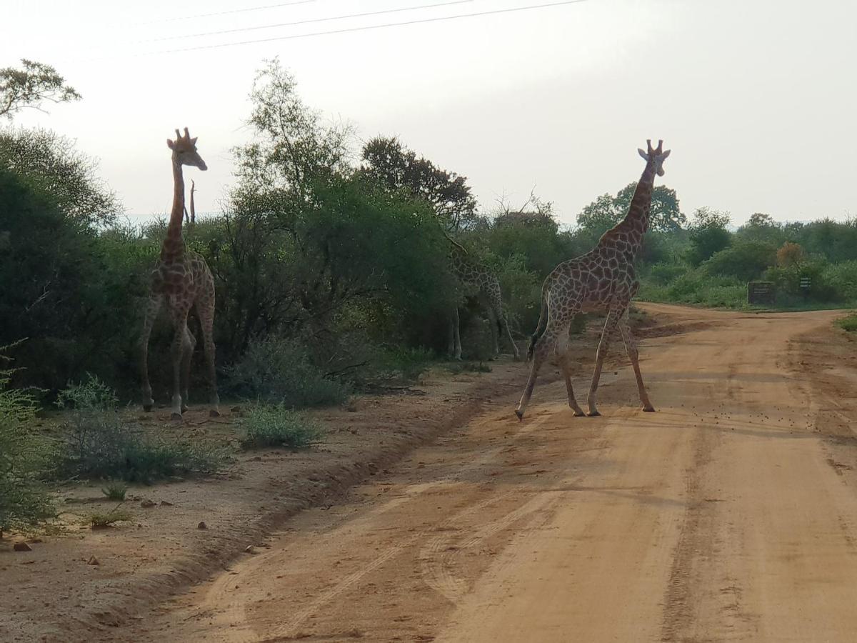 636 Itaga Safari Lodge, Mabalingwe Nature Reserve Apartment *