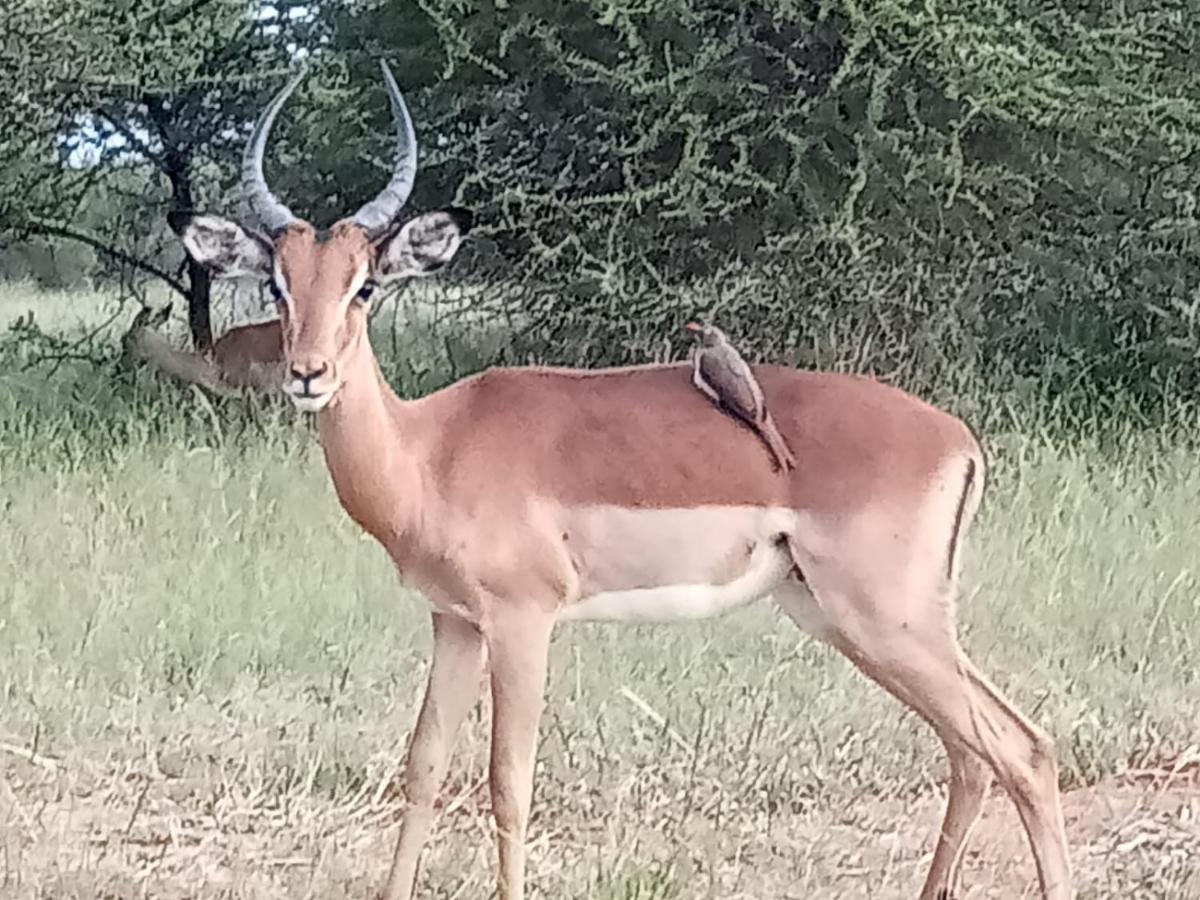 Apartment 636 Itaga Safari Lodge, Mabalingwe Nature Reserve *